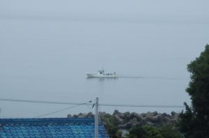 駿河湾のしらす漁船